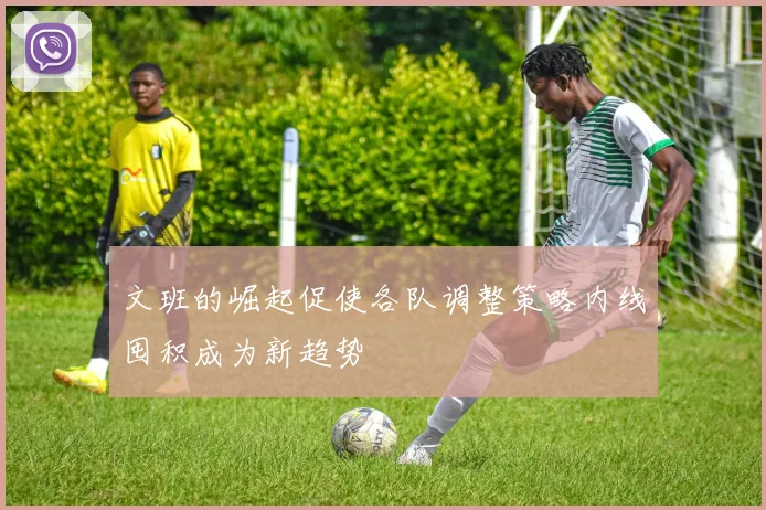 文班的崛起促使各队调整策略内线囤积成为新趋势