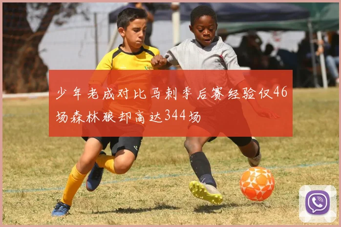 少年老成对比马刺季后赛经验仅46场森林狼却高达344场
