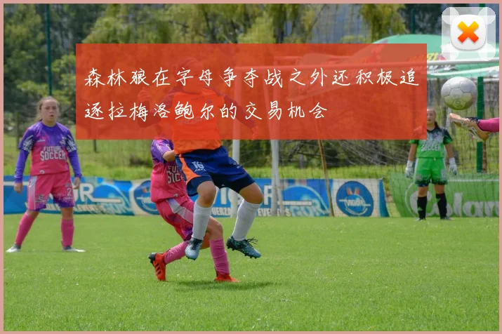 森林狼在字母争夺战之外还积极追逐拉梅洛鲍尔的交易机会