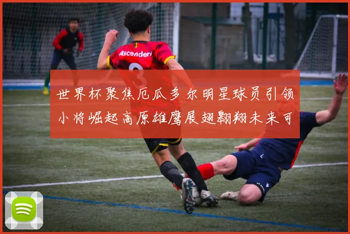 世界杯聚焦厄瓜多尔明星球员引领小将崛起高原雄鹰展翅翱翔未来可期